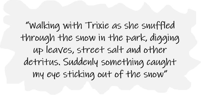 Perspective  - Cathy Graham