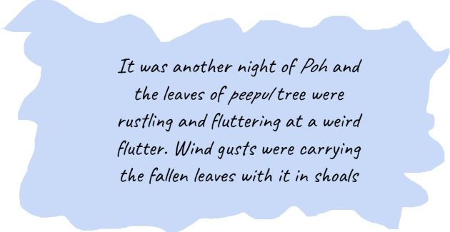 Evanescent Shadows - Saleem Rahman