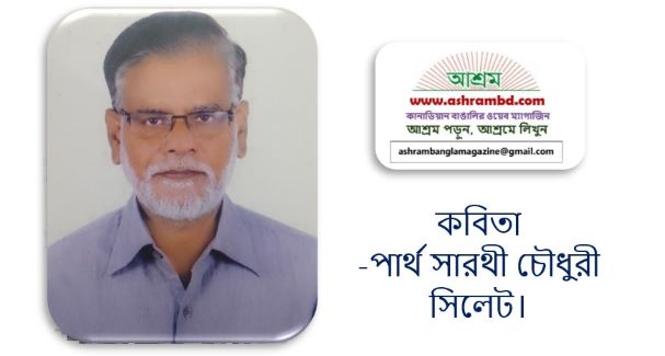 দিবস তো শুধু একটা দিন মাত্র - পার্থ সারথী চৌধুরী